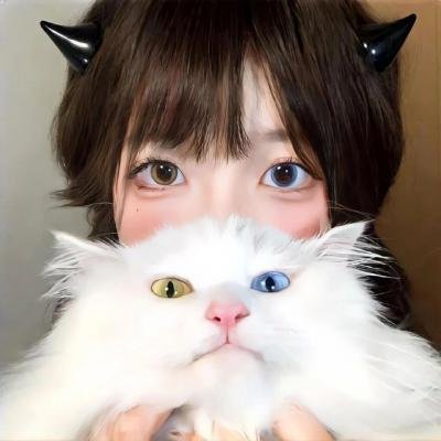 舞伎家的料理人真人版