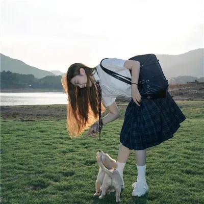 大案组